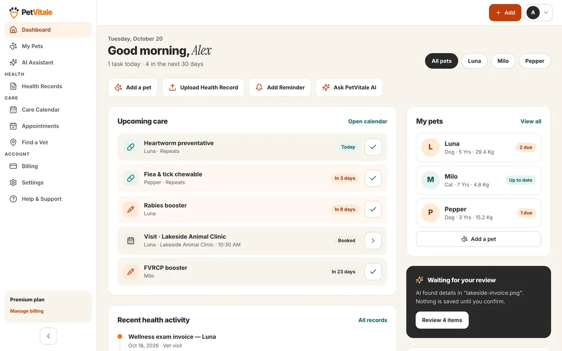 The dashboard in a desktop browser